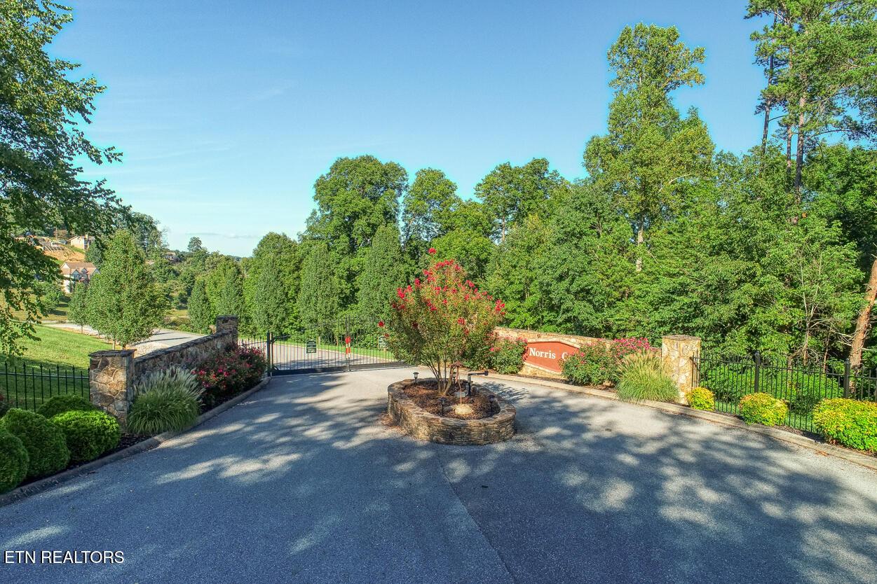 Norris Lake Real Estate - Image# 54