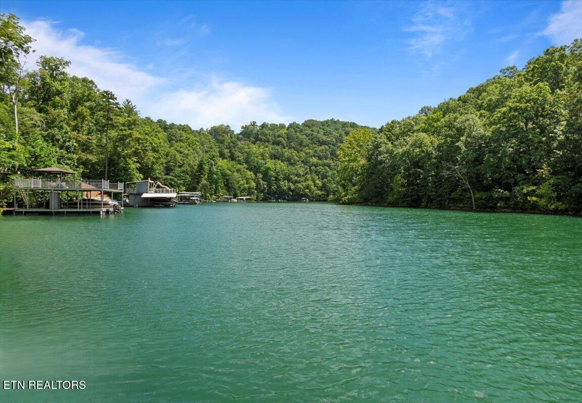 Norris Lake Real Estate - Image# 3