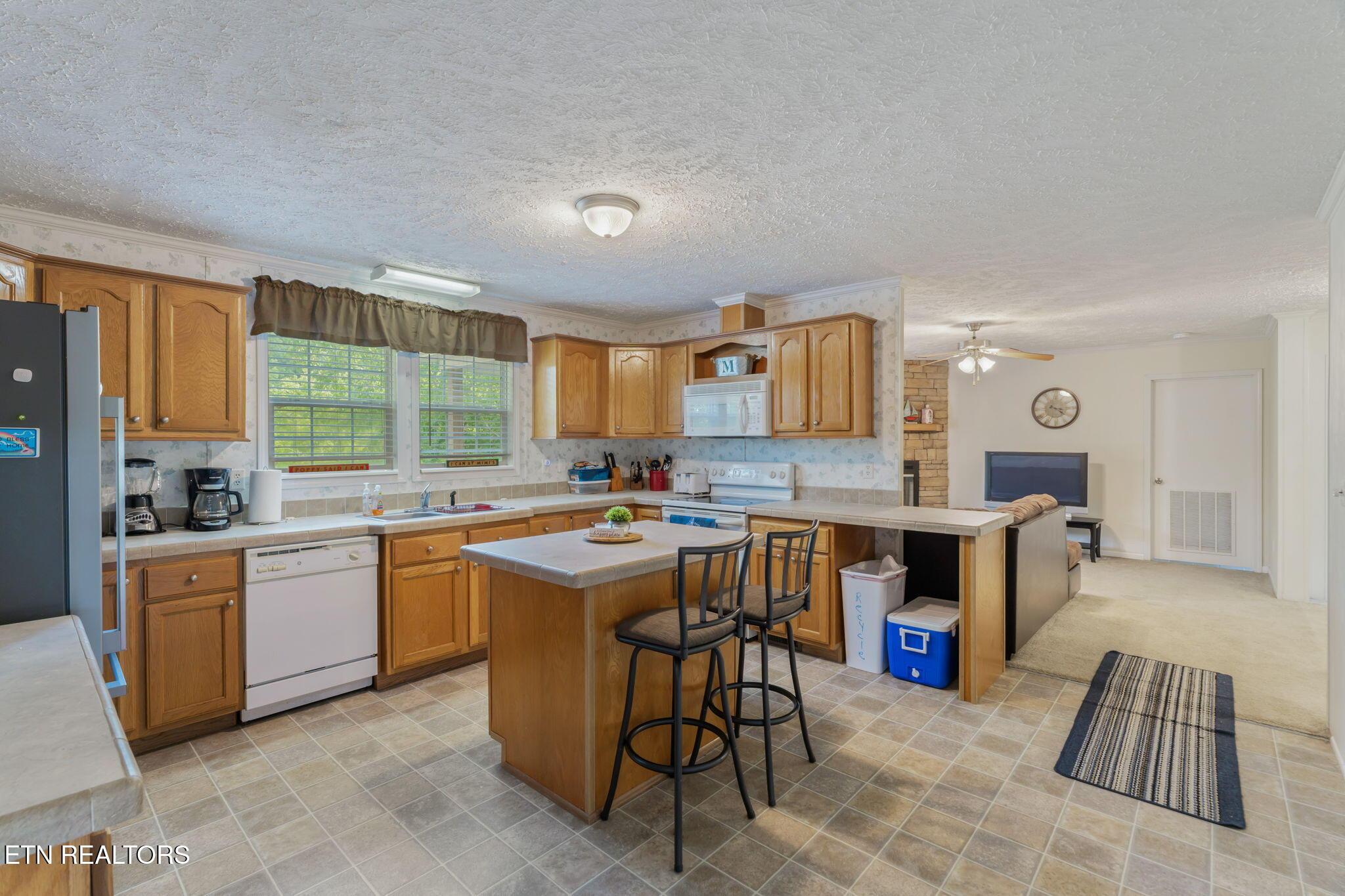 Norris Lake Real Estate - Image# 11