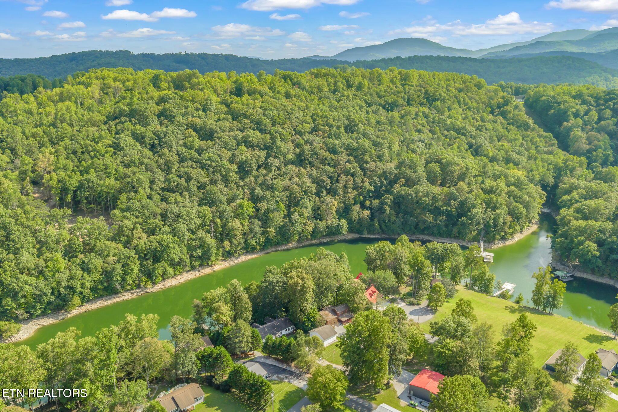 Norris Lake Real Estate - Image# 53