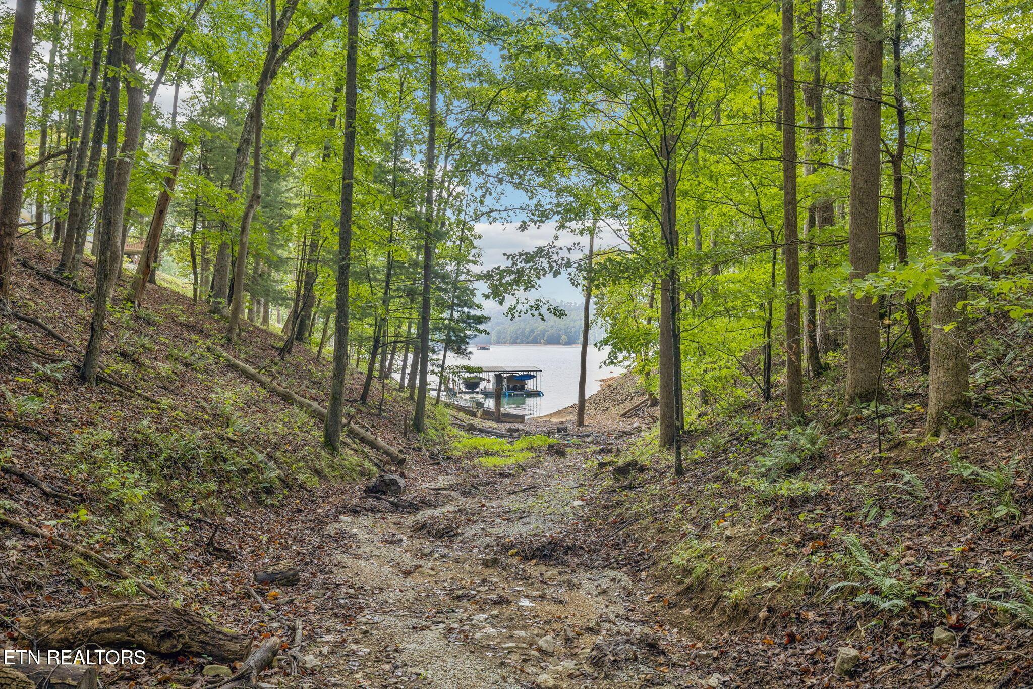 Norris Lake Real Estate - Image# 7