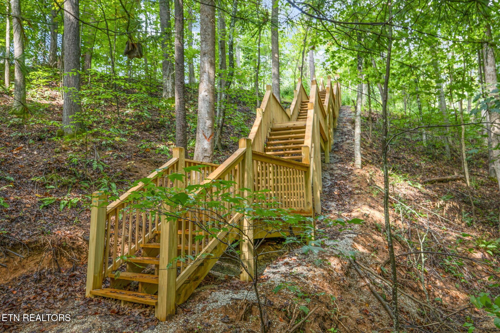 Norris Lake Real Estate - Image# 8