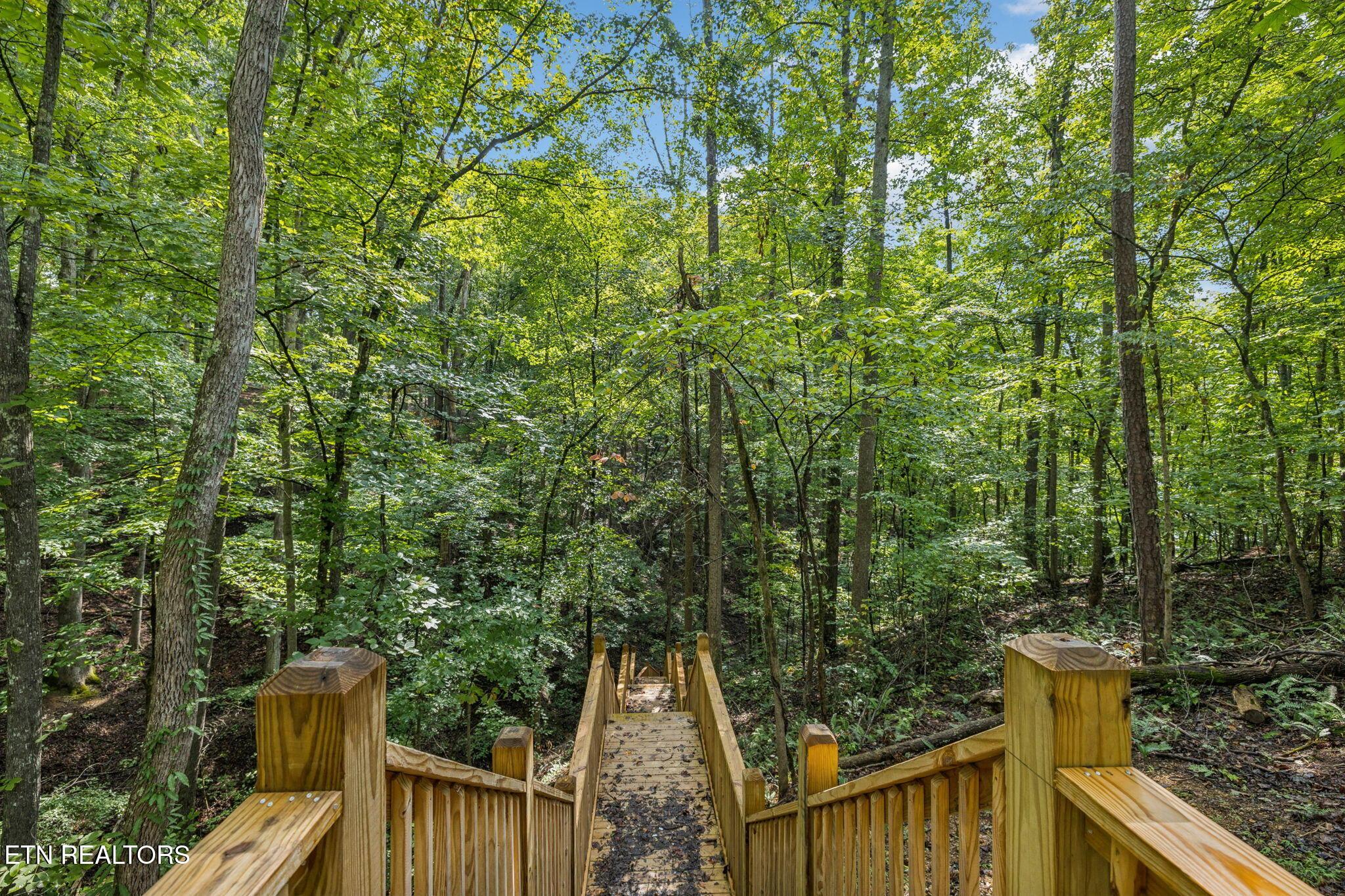 Norris Lake Real Estate - Image# 24