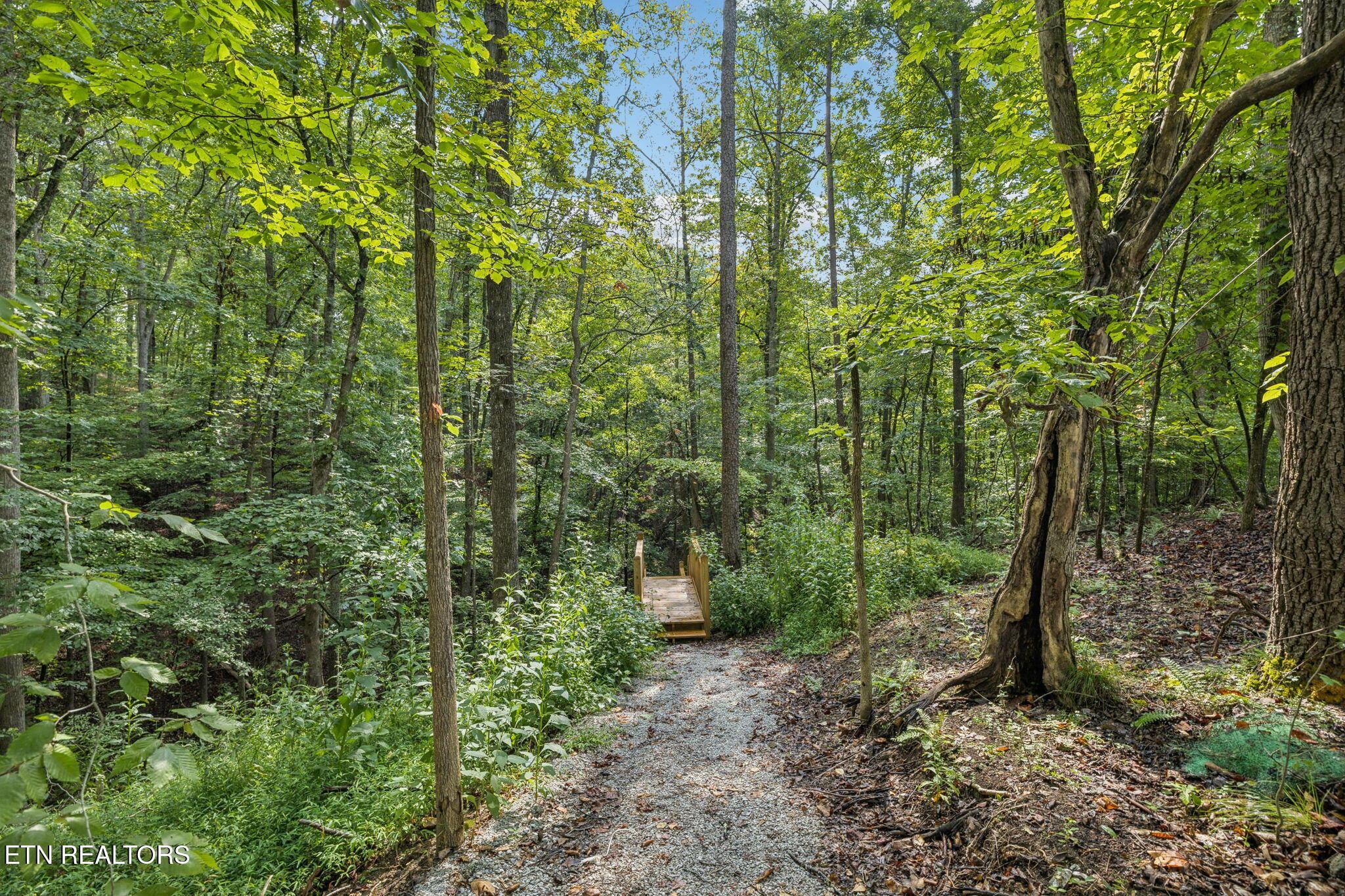 Norris Lake Real Estate - Image# 23