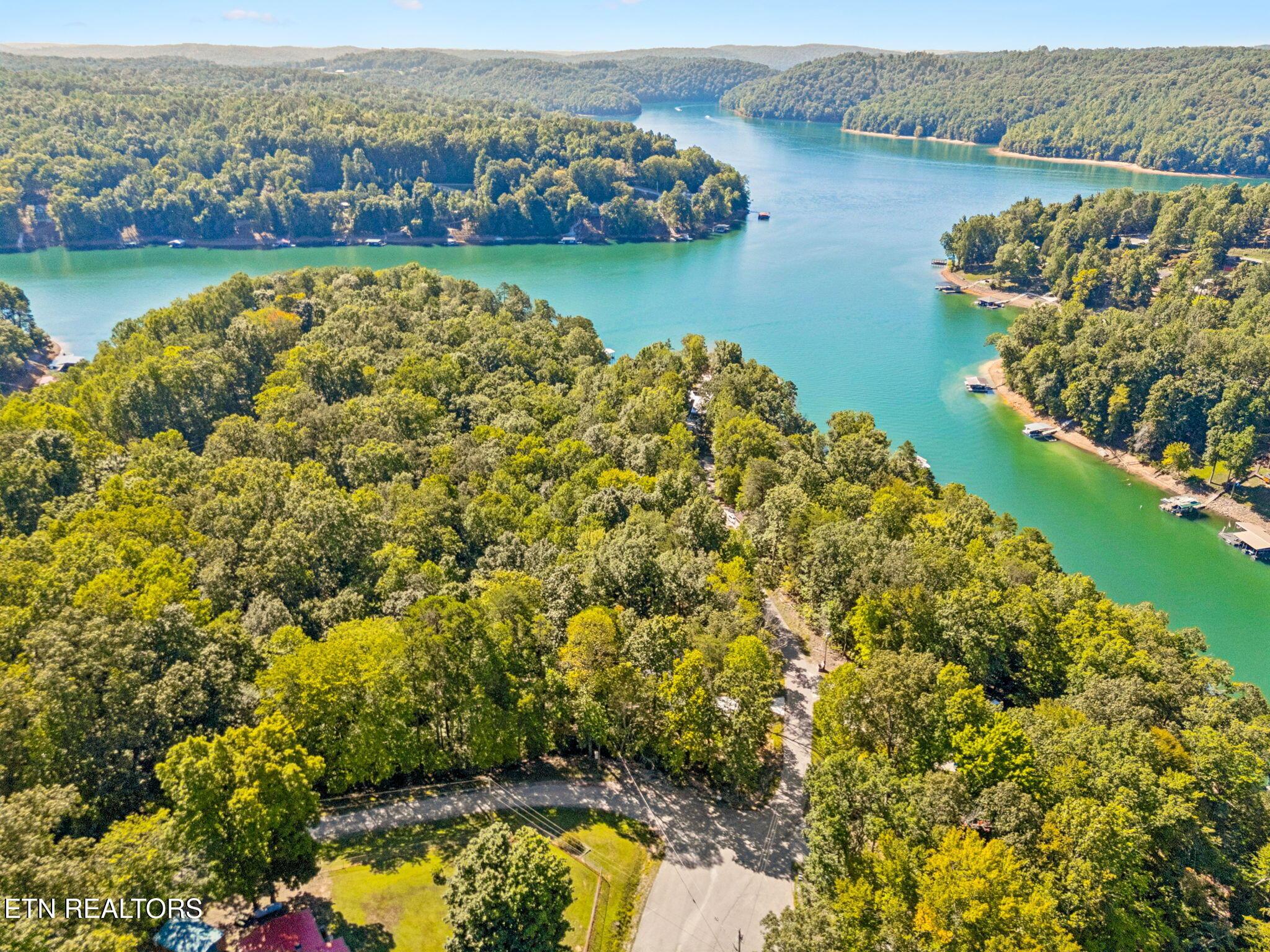 Norris Lake Real Estate - Image# 5