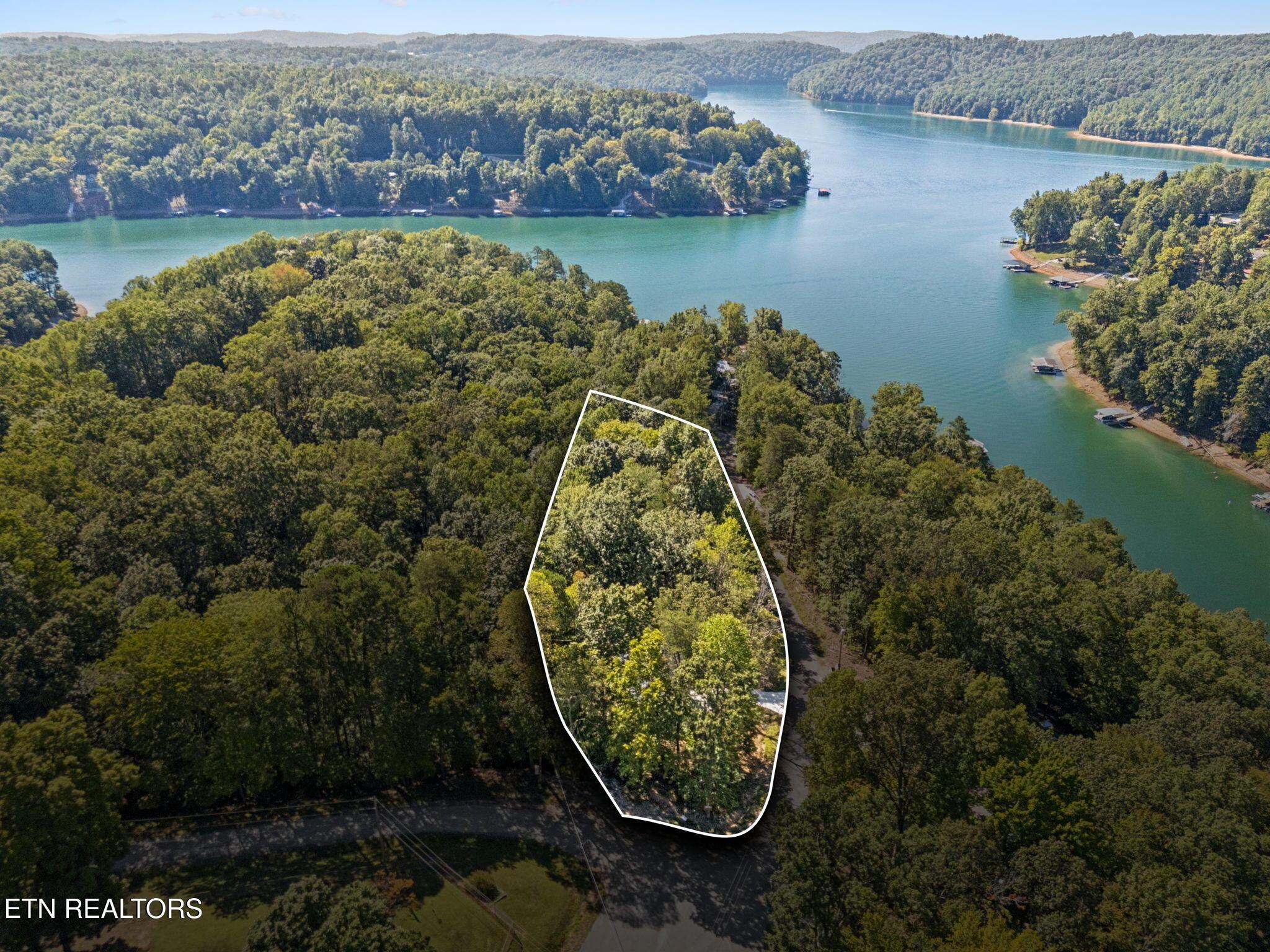 Norris Lake Real Estate - Image# 4