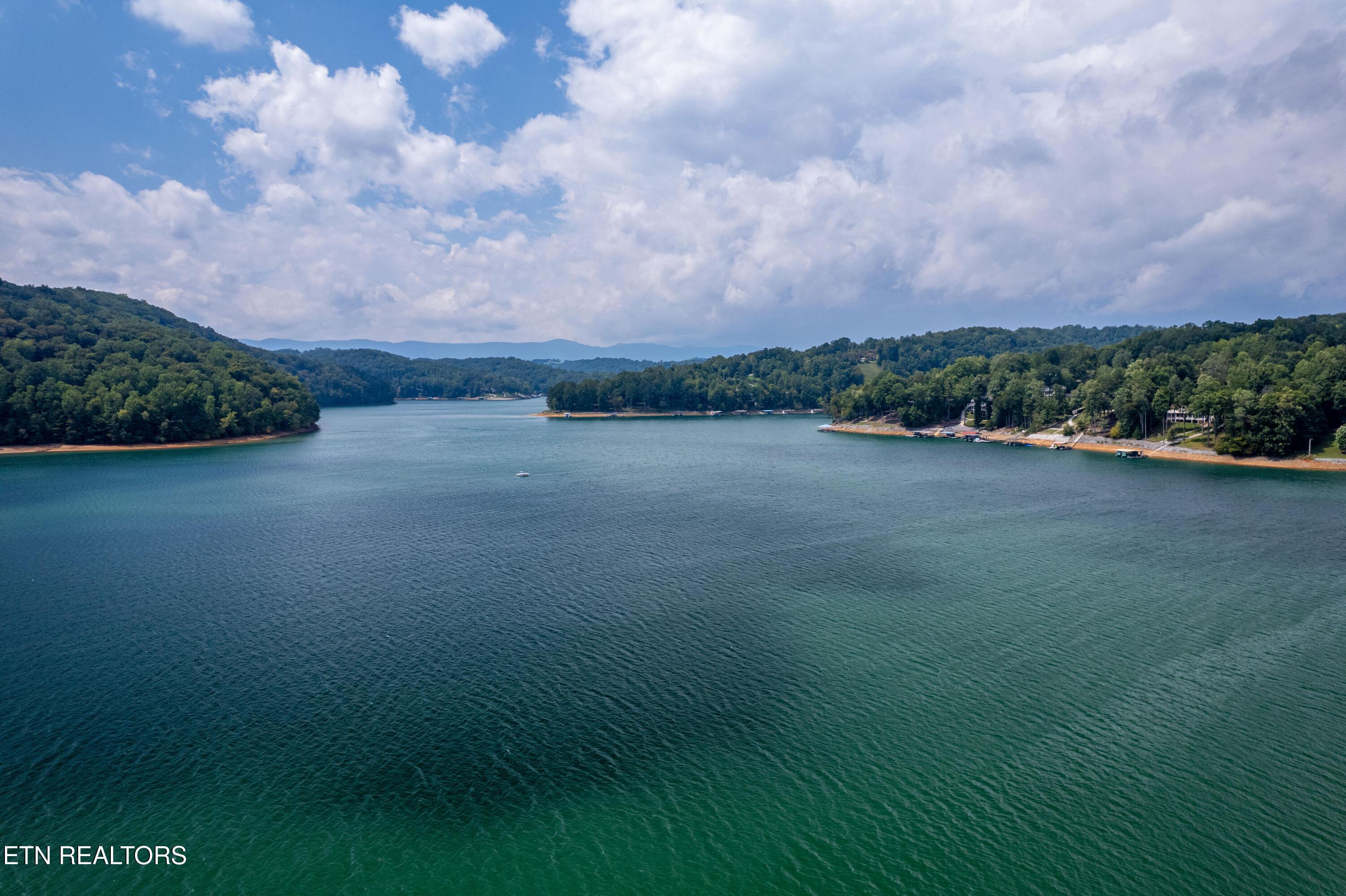 Norris Lake Real Estate - Image# 52