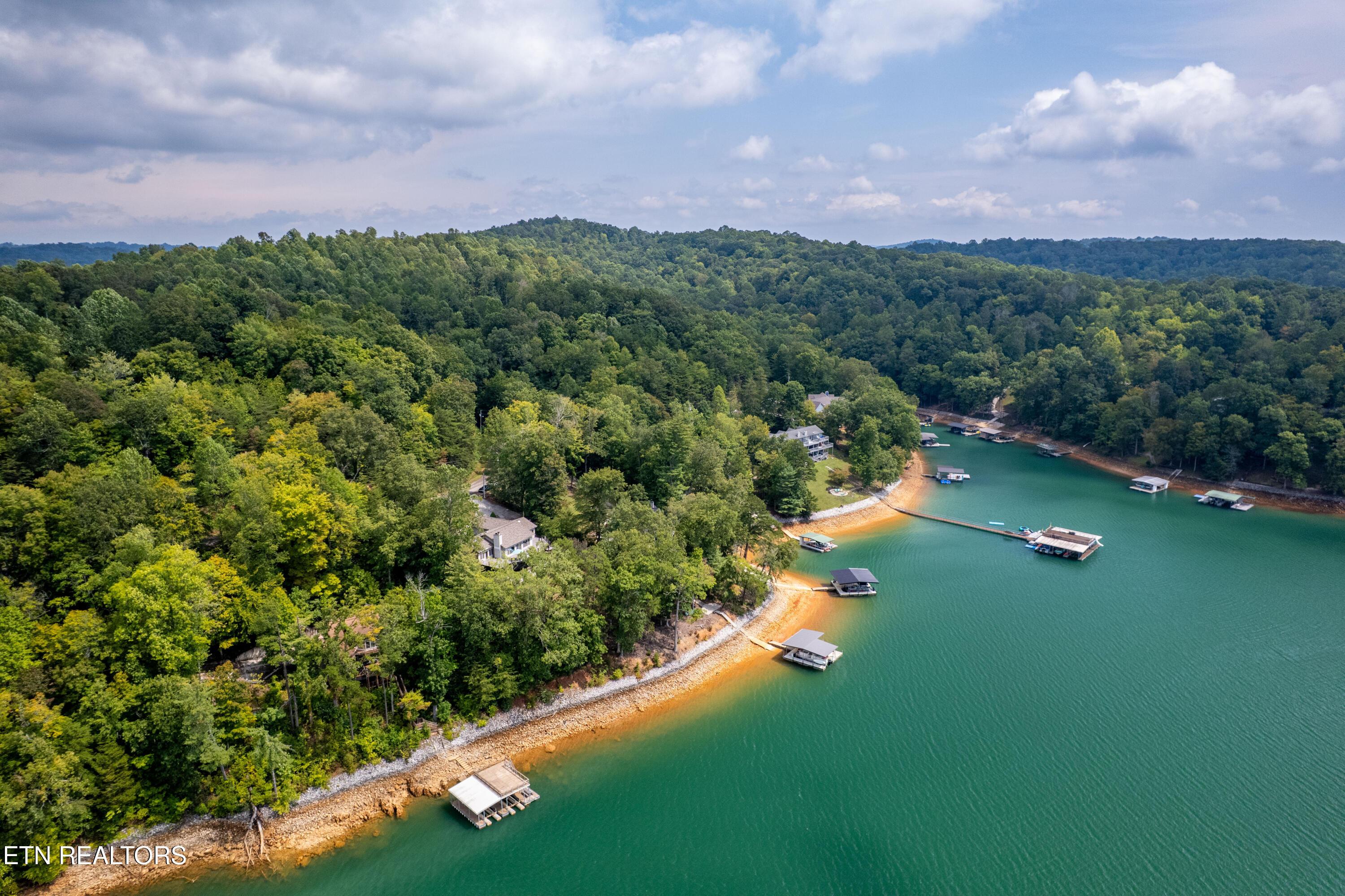 Norris Lake Real Estate - Image# 54
