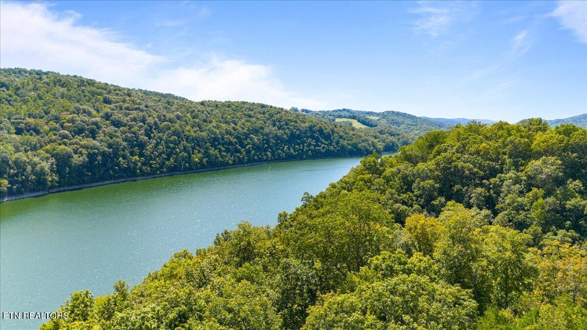 Norris Lake Real Estate - Image# 56