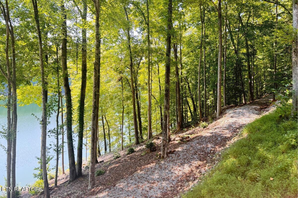 246 Landmark Drive, New Tazewell, TN - Norris Lake Real Estate - Image# 57