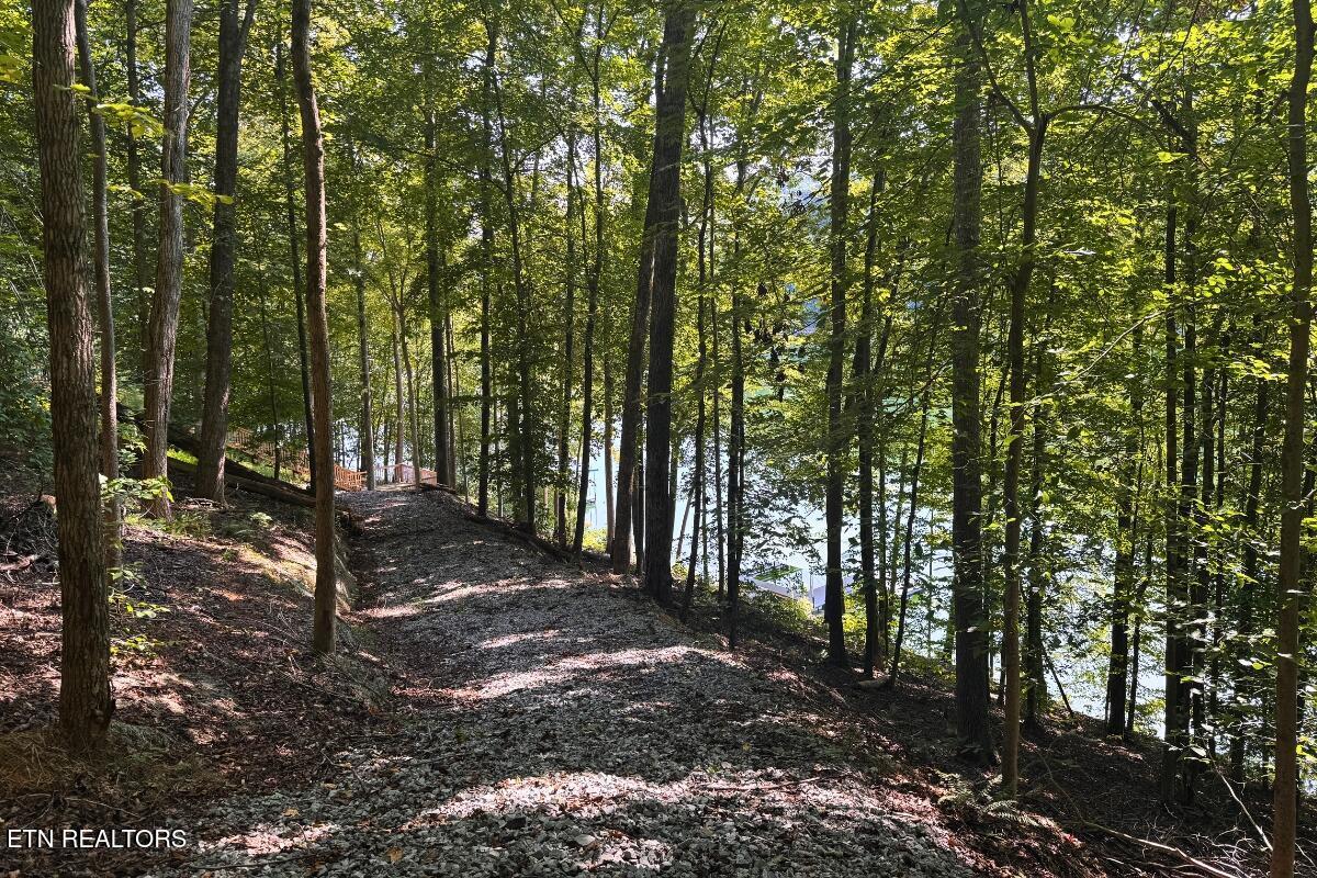 246 Landmark Drive, New Tazewell, TN - Norris Lake Real Estate - Image# 61