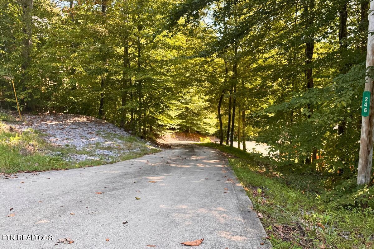 246 Landmark Drive, New Tazewell, TN - Norris Lake Real Estate - Image# 63