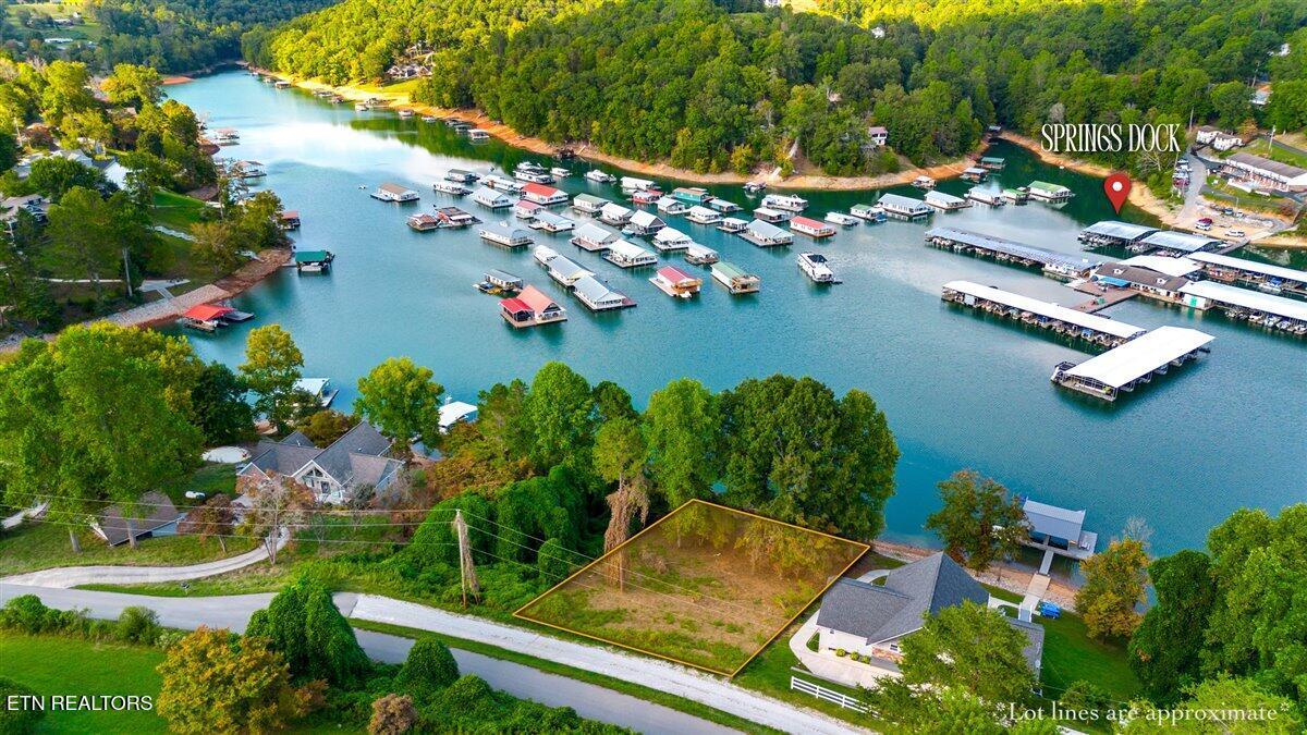 Norris Lake Real Estate - Image# 2