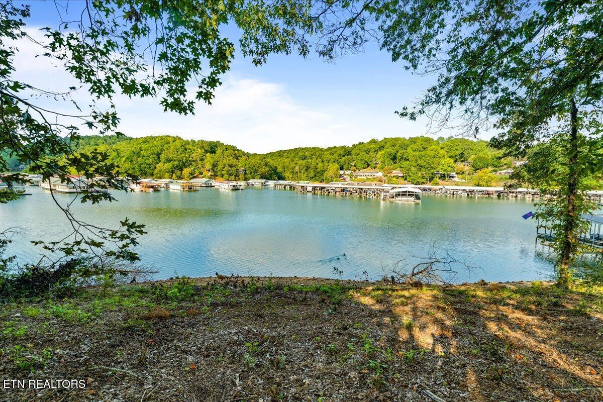 Norris Lake Real Estate - Image# 3