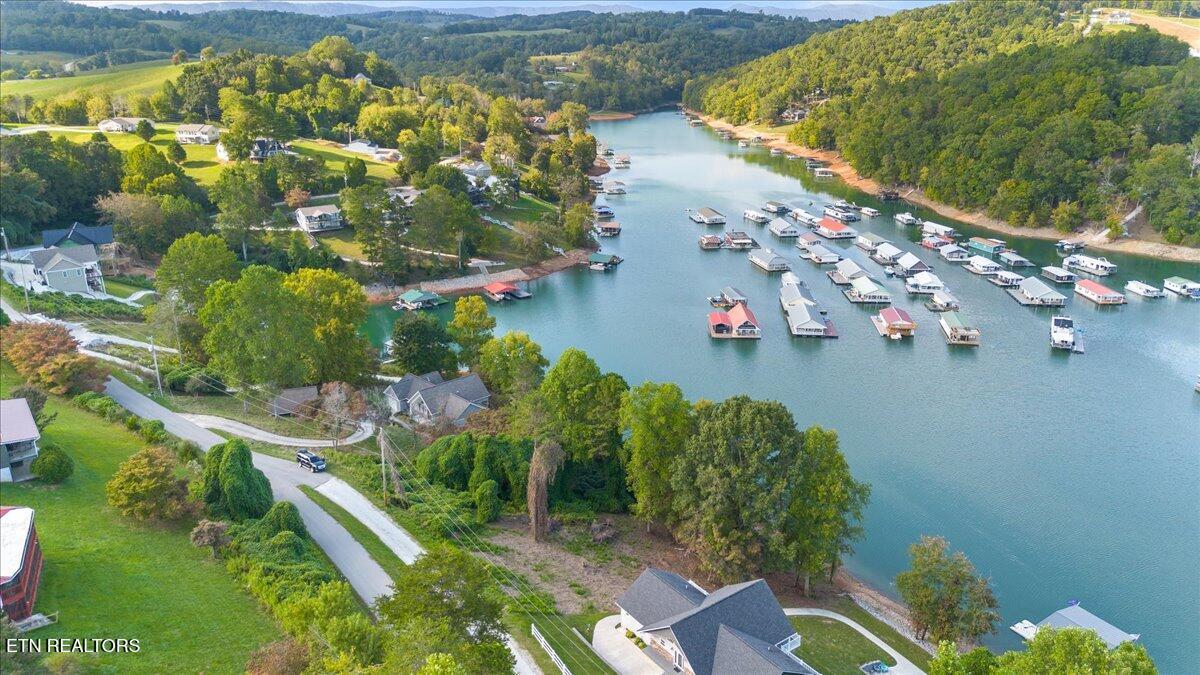 Norris Lake Real Estate - Image# 8