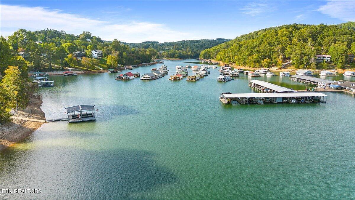 Norris Lake Real Estate - Image# 11