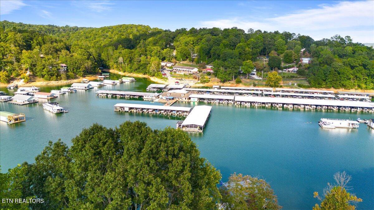 Norris Lake Real Estate - Image# 13