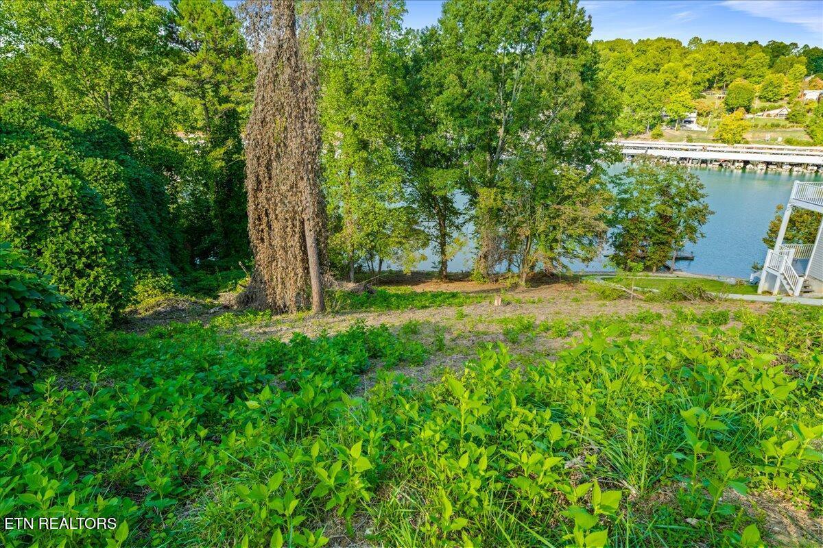 Norris Lake Real Estate - Image# 15
