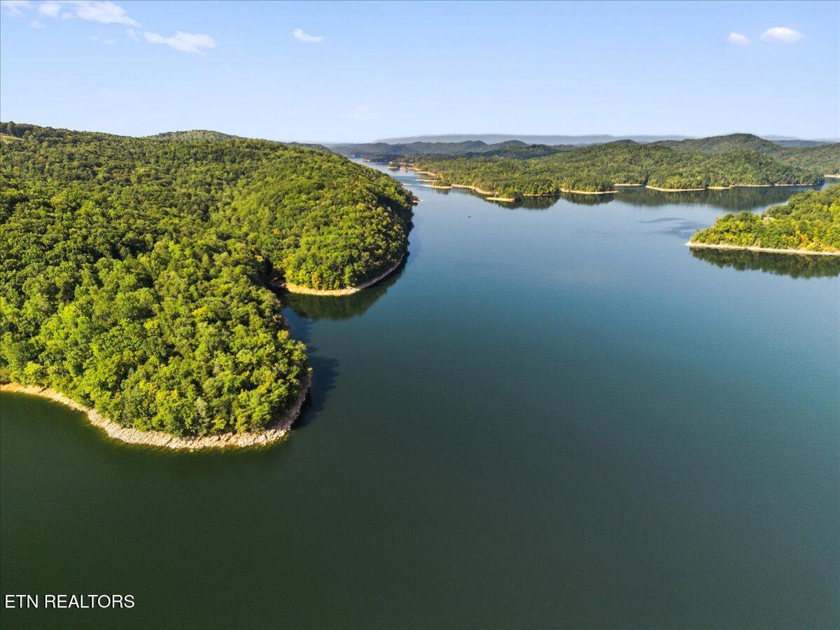 449 Hickory Pointe Ln, Maynardville, TN - Norris Lake Real Estate - Image# 8