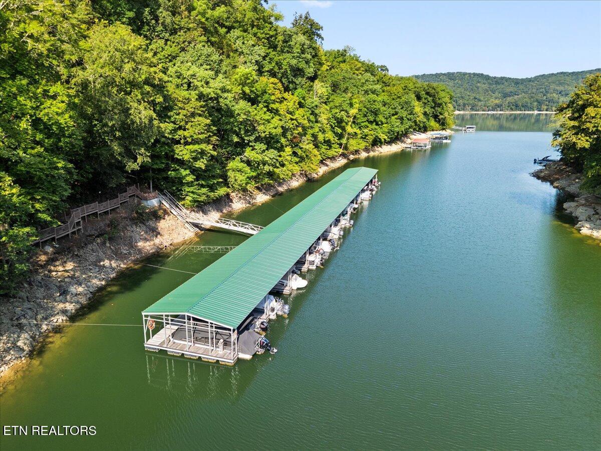 449 Hickory Pointe Ln, Maynardville, TN - Norris Lake Real Estate - Image# 9
