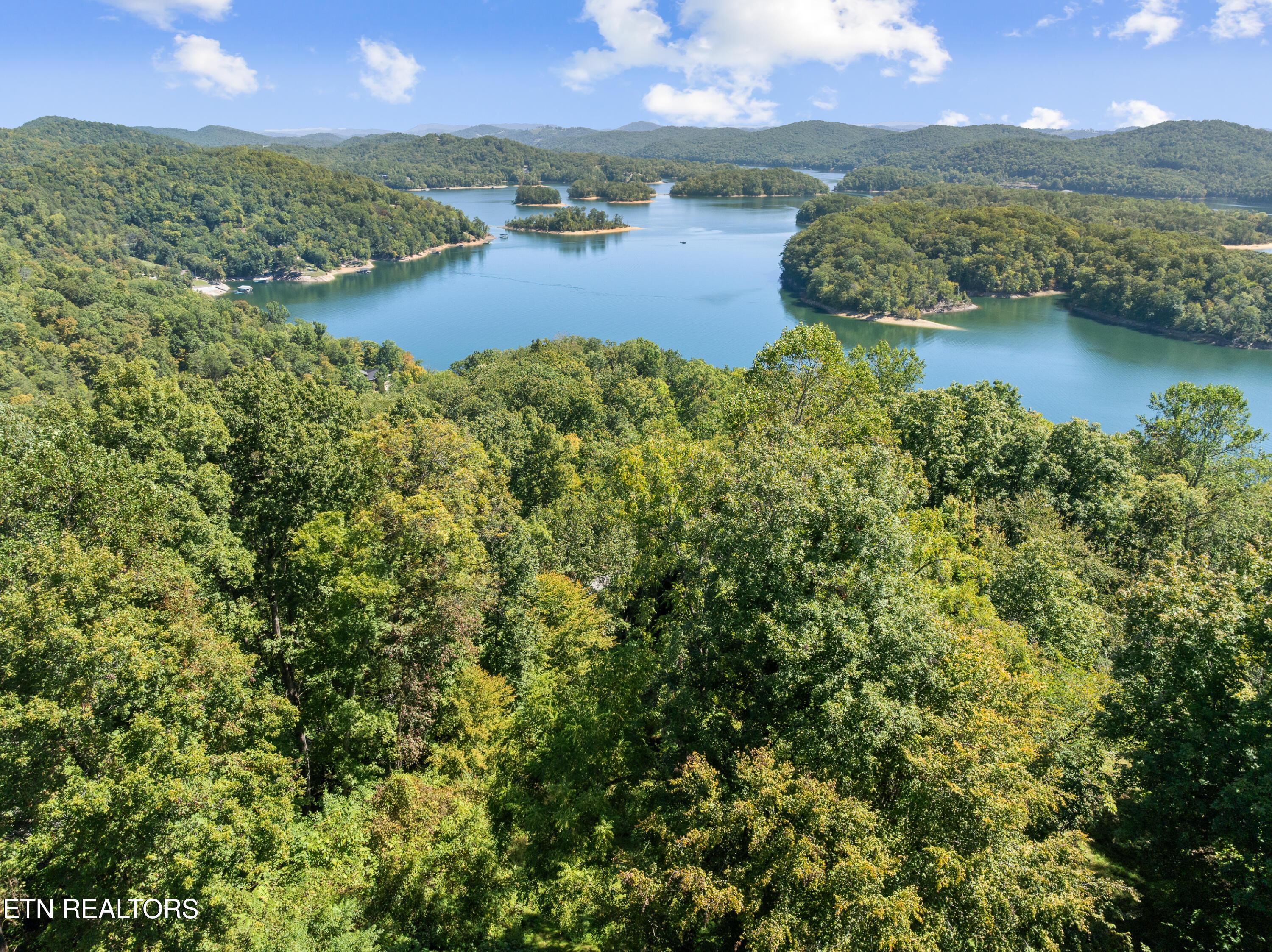 1130 Lakeview Drive, Sharps Chapel, TN - Norris Lake Real Estate - Image# 5