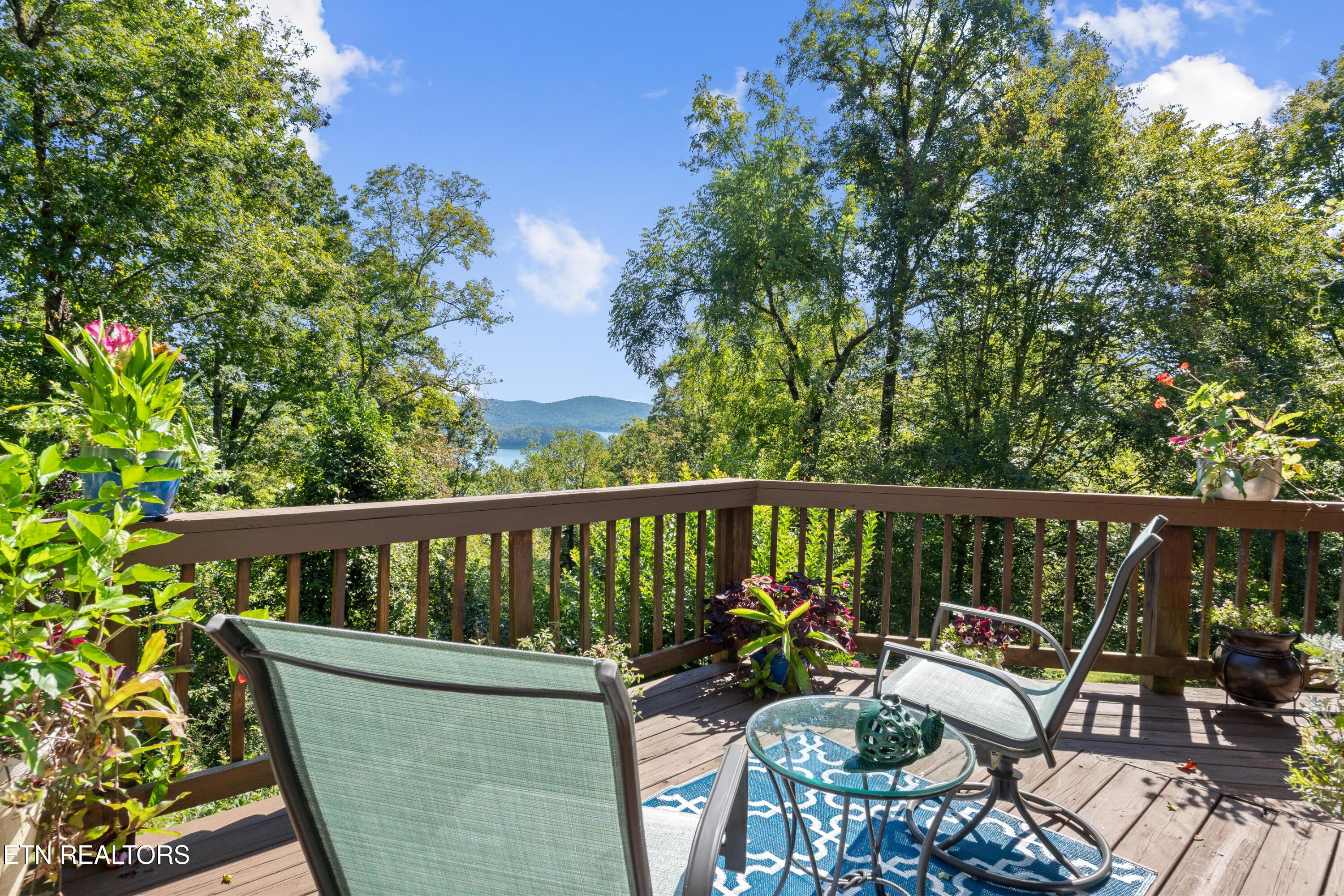 1130 Lakeview Drive, Sharps Chapel, TN - Norris Lake Real Estate - Image# 14