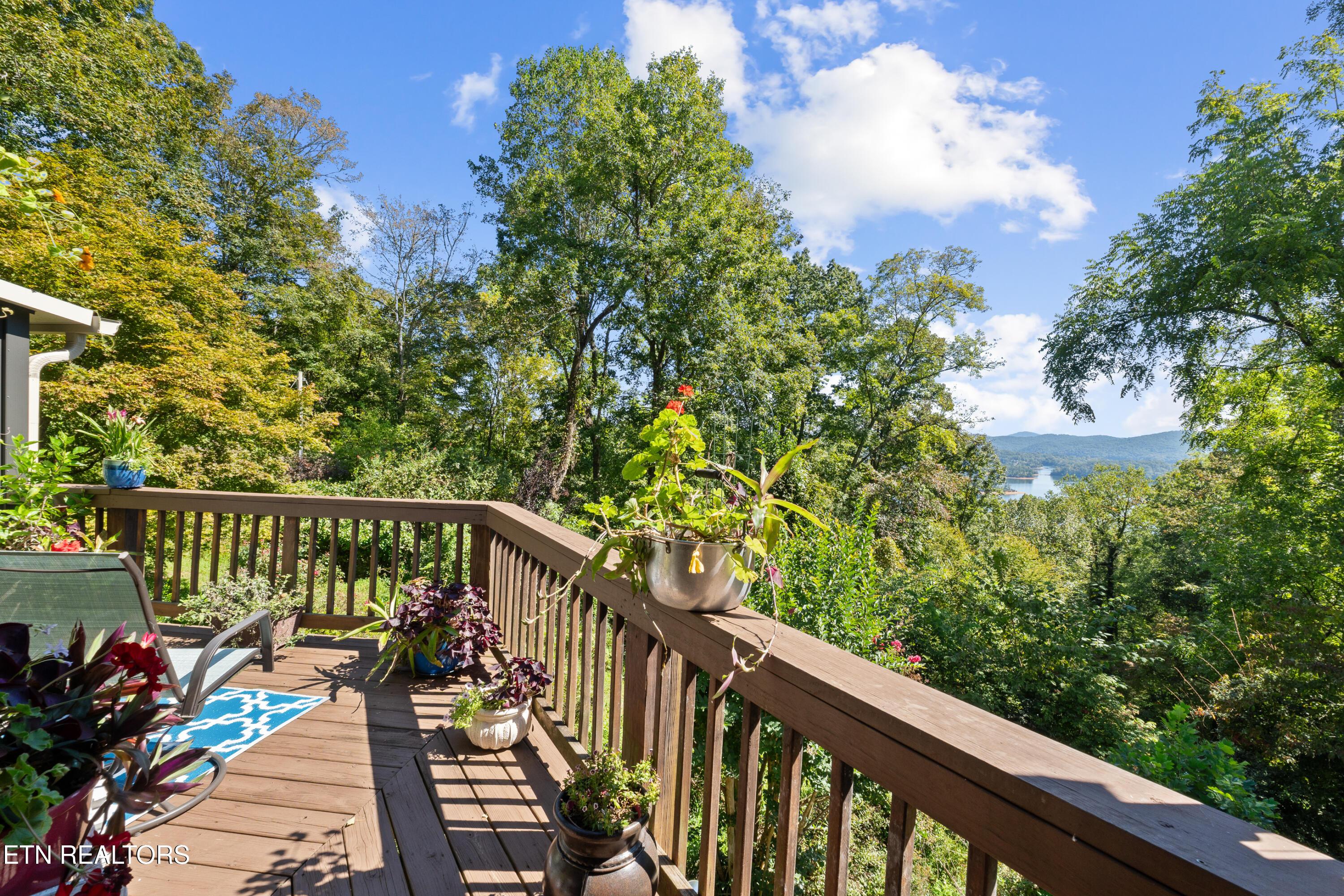 1130 Lakeview Drive, Sharps Chapel, TN - Norris Lake Real Estate - Image# 12