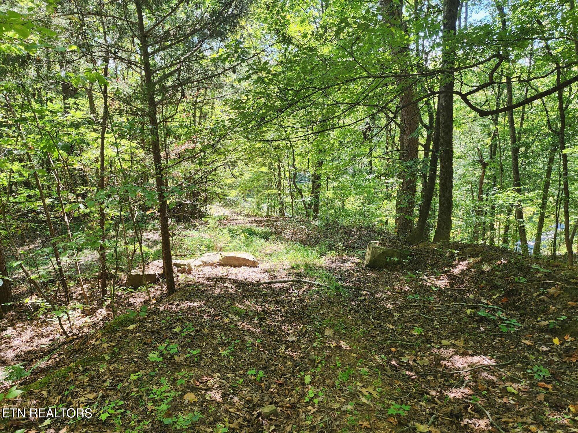 Timber Ridge Rd, Sharps Chapel, TN - Norris Lake Real Estate - Image# 5