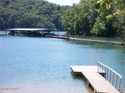 Timber Ridge Rd, Sharps Chapel, TN - Norris Lake Real Estate - Image# 16
