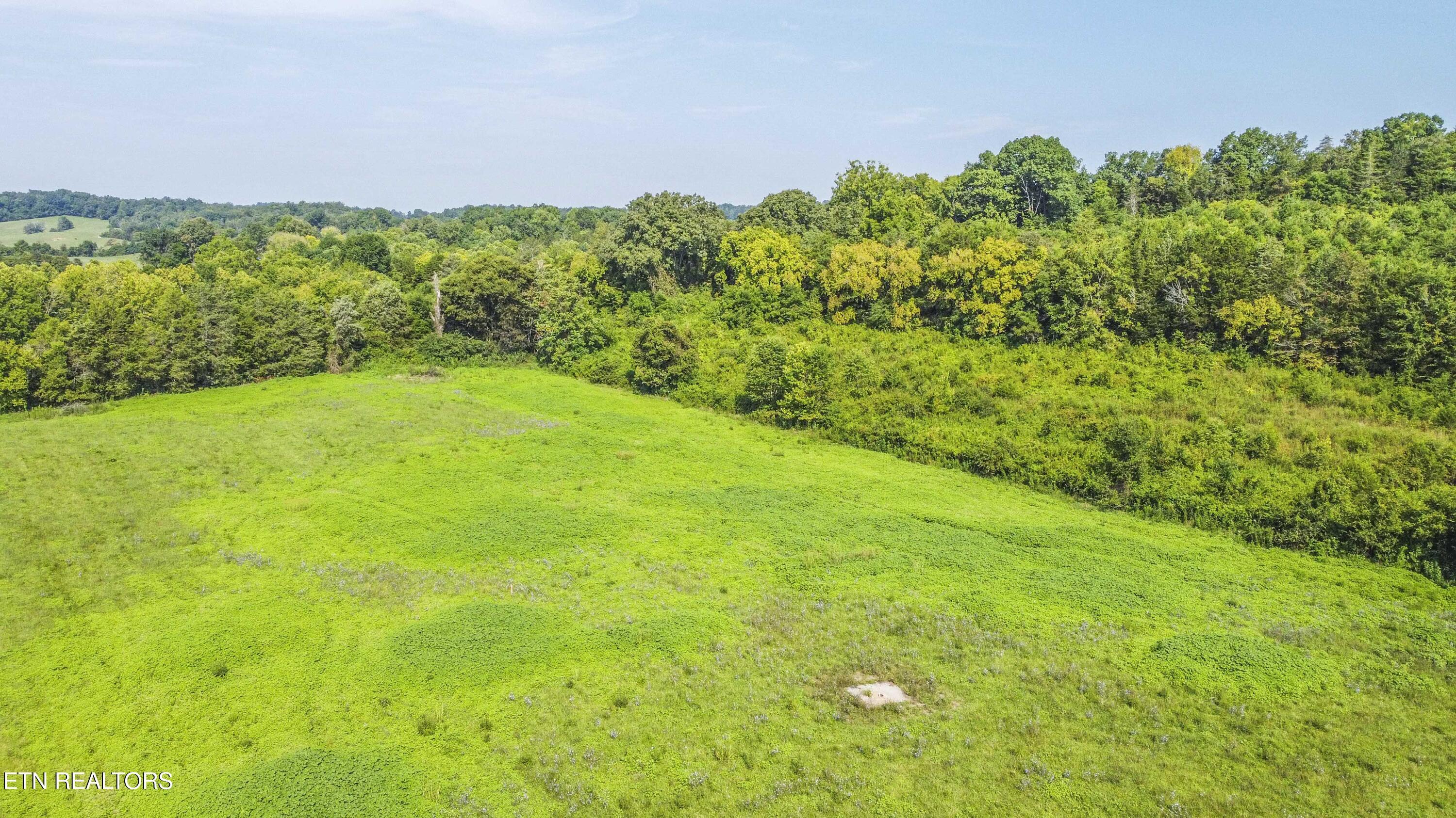 Tract 1 Off Sharps Chapel Rd, Sharps Chapel, TN - Norris Lake Real Estate - Image# 5