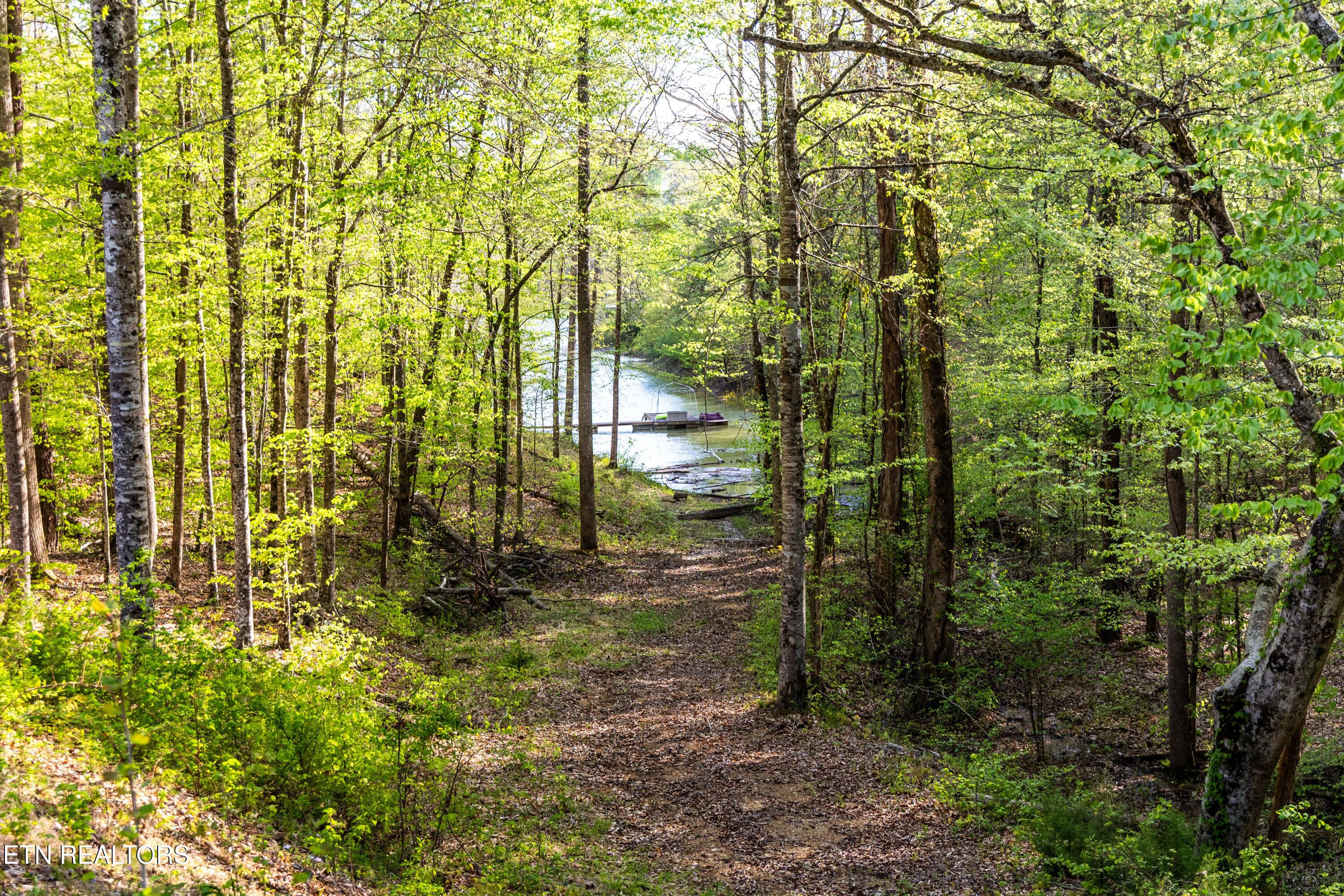 152 Laurel Wood Rd, New Tazewell, TN - Norris Lake Real Estate - Image# 30