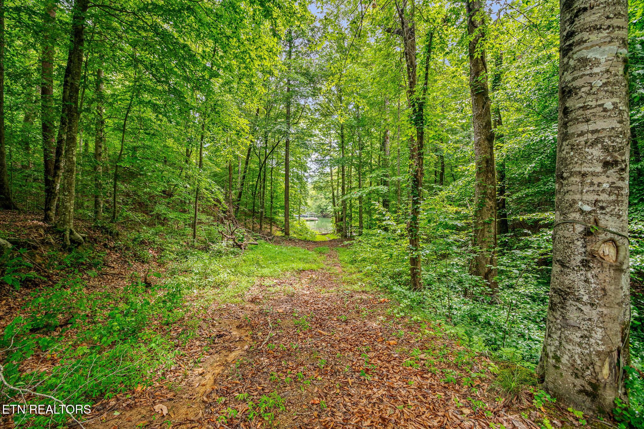 152 Laurel Wood Rd, New Tazewell, TN - Norris Lake Real Estate - Image# 34
