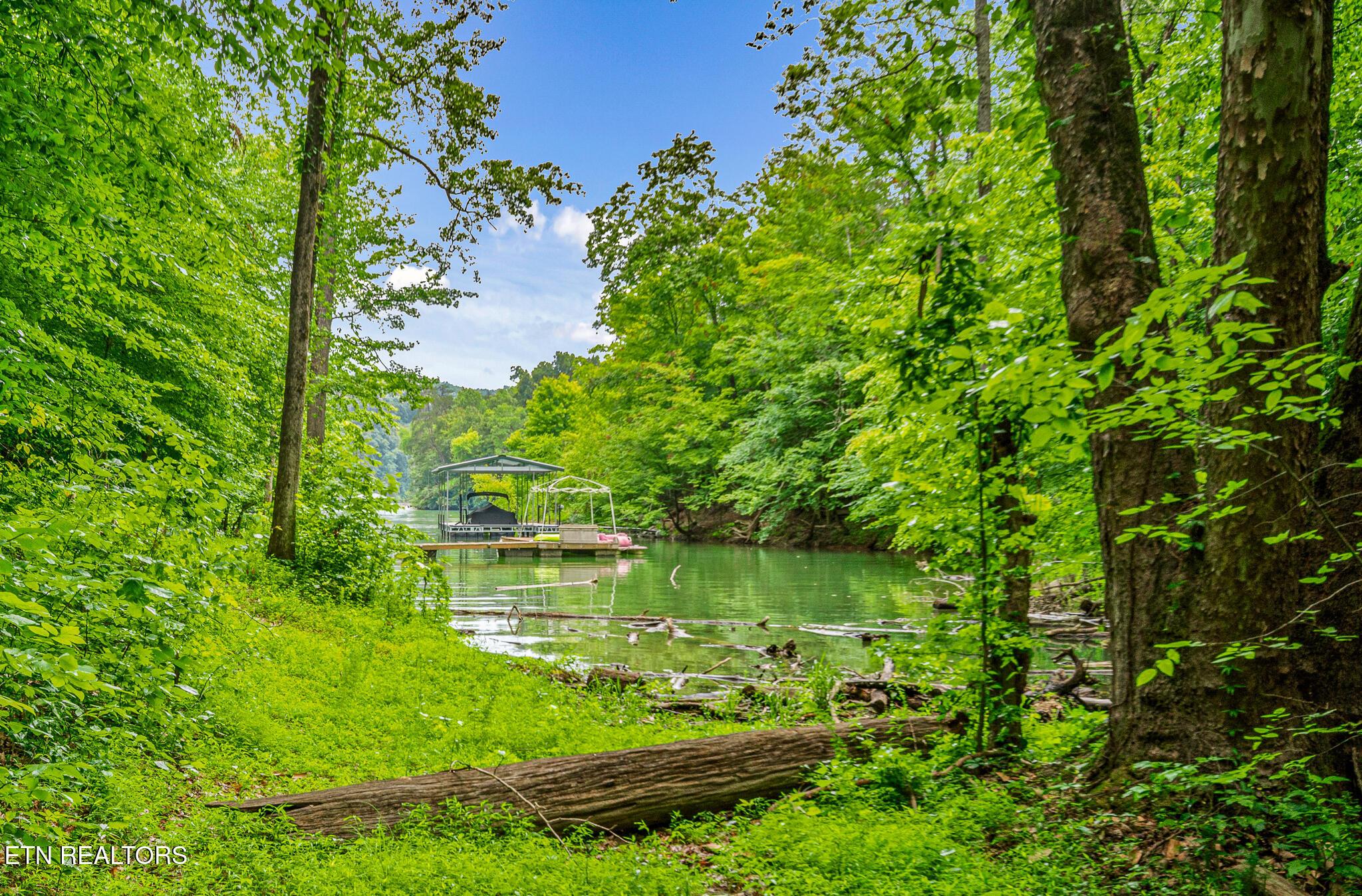 152 Laurel Wood Rd, New Tazewell, TN - Norris Lake Real Estate - Image# 38