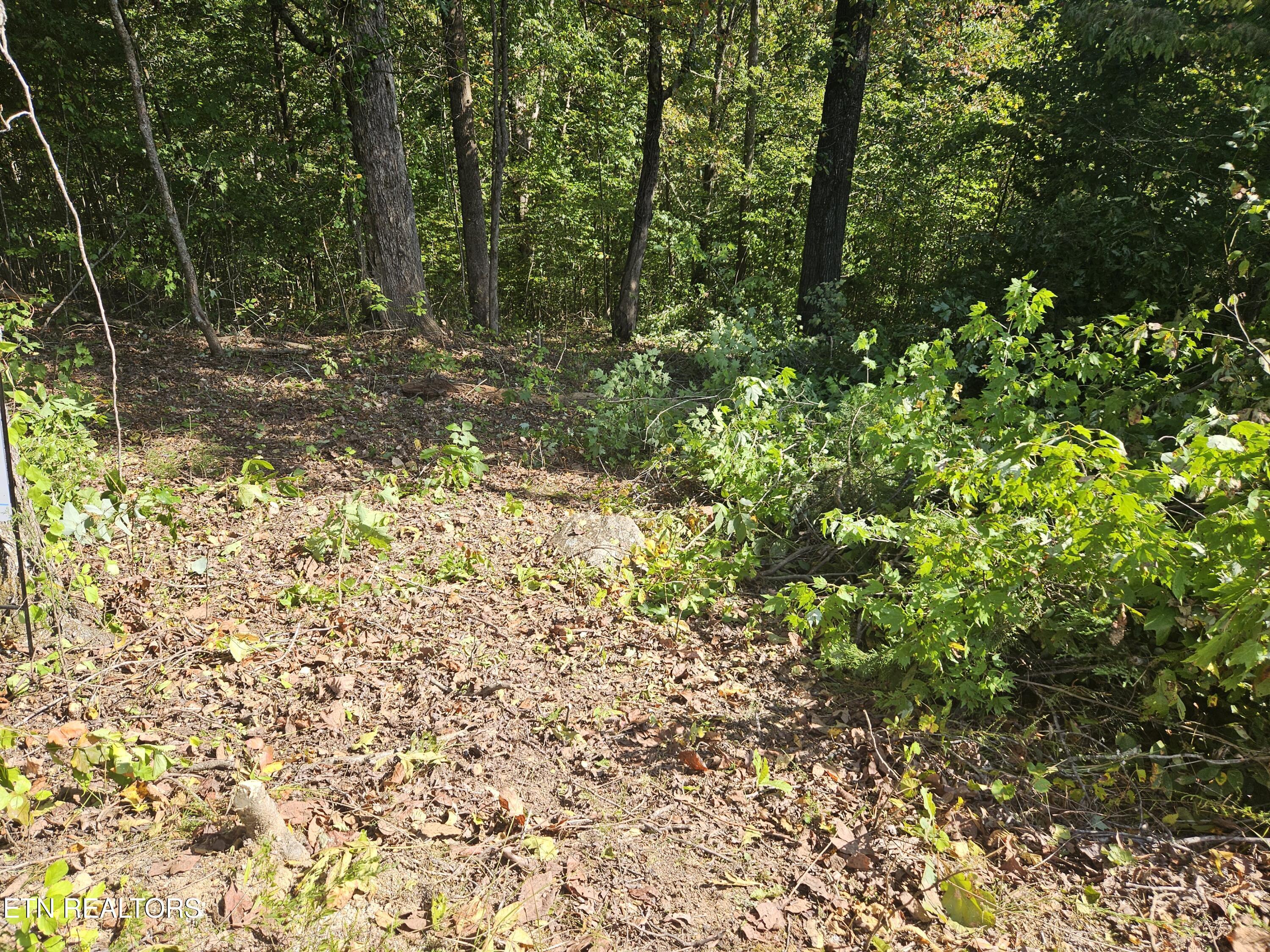 Lot172&173 Saddleridge Drive, Speedwell, TN - Norris Lake Real Estate - Image# 6