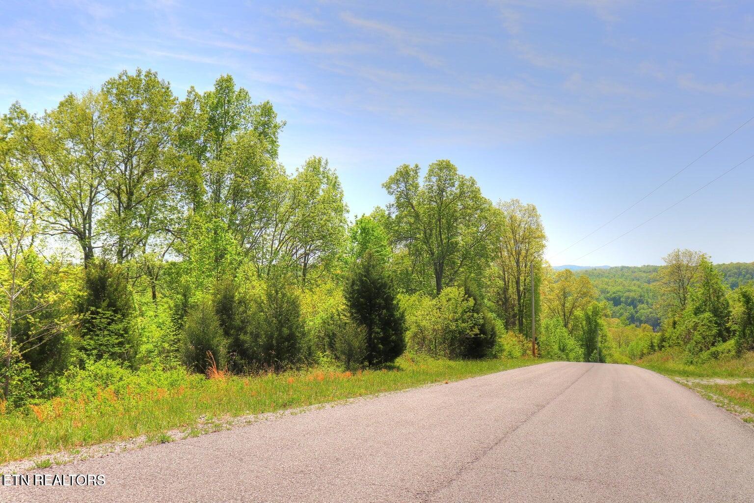 Lot172&173 Saddleridge Drive, Speedwell, TN - Norris Lake Real Estate - Image# 4