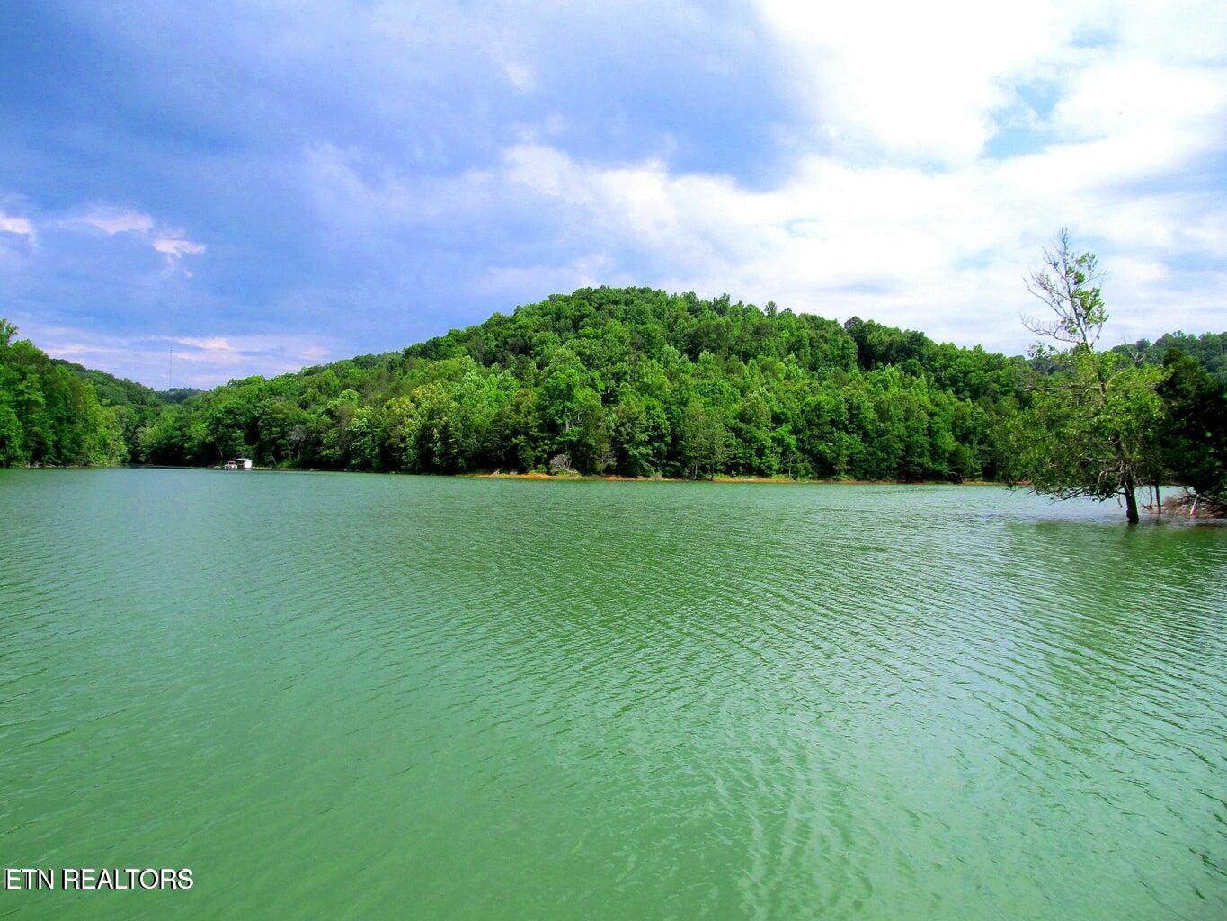 Lot172&173 Saddleridge Drive, Speedwell, TN - Norris Lake Real Estate - Image# 10