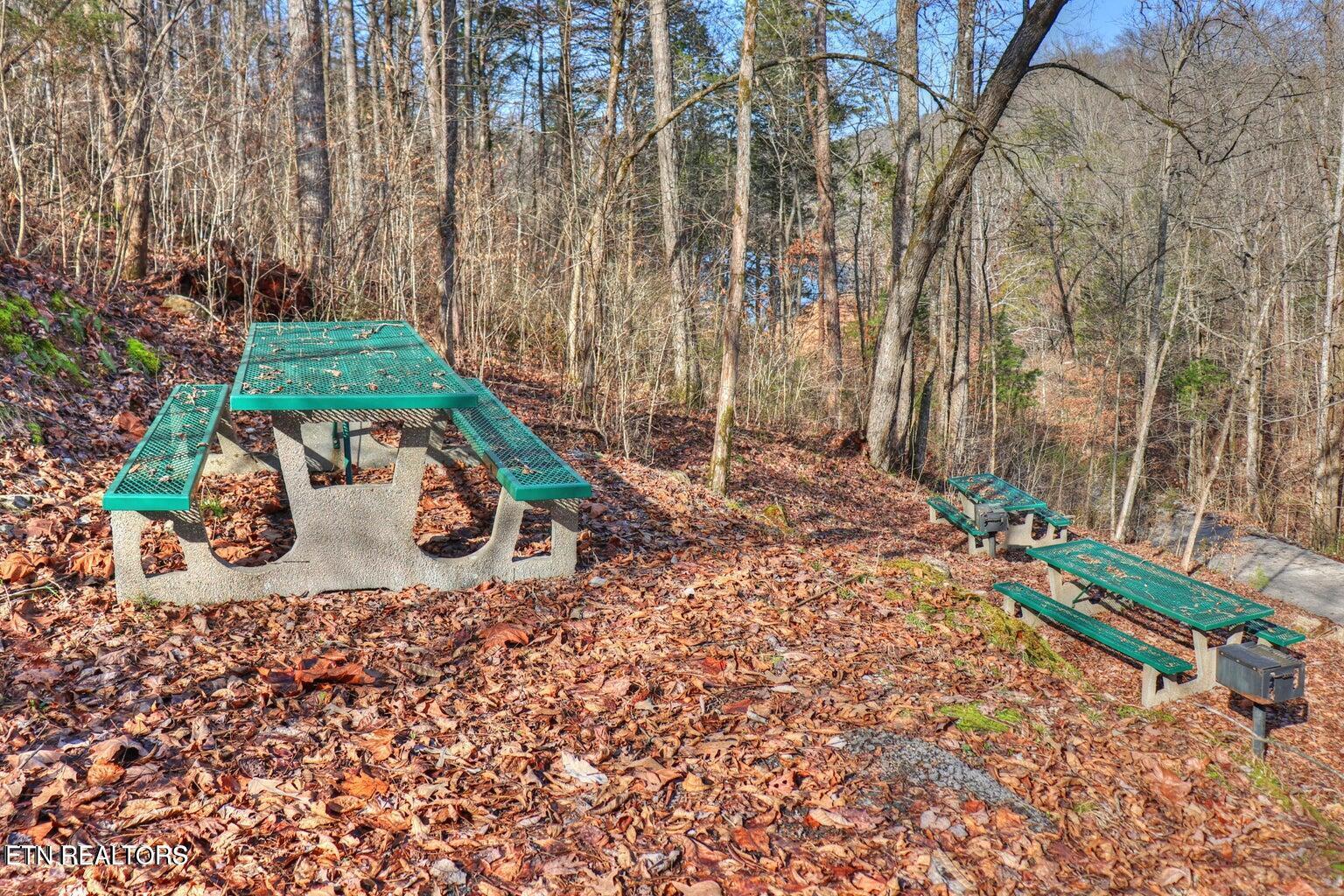 Lot172&173 Saddleridge Drive, Speedwell, TN - Norris Lake Real Estate - Image# 13