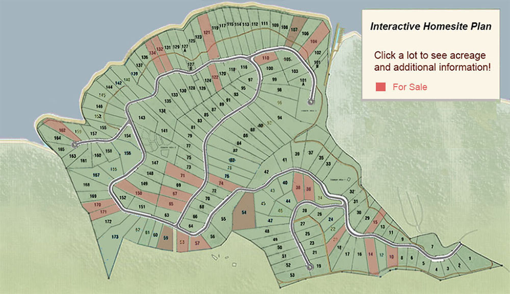 Lot 172 Saddleridge Drive, Speedwell, TN - Norris Lake Real Estate - Image# 6