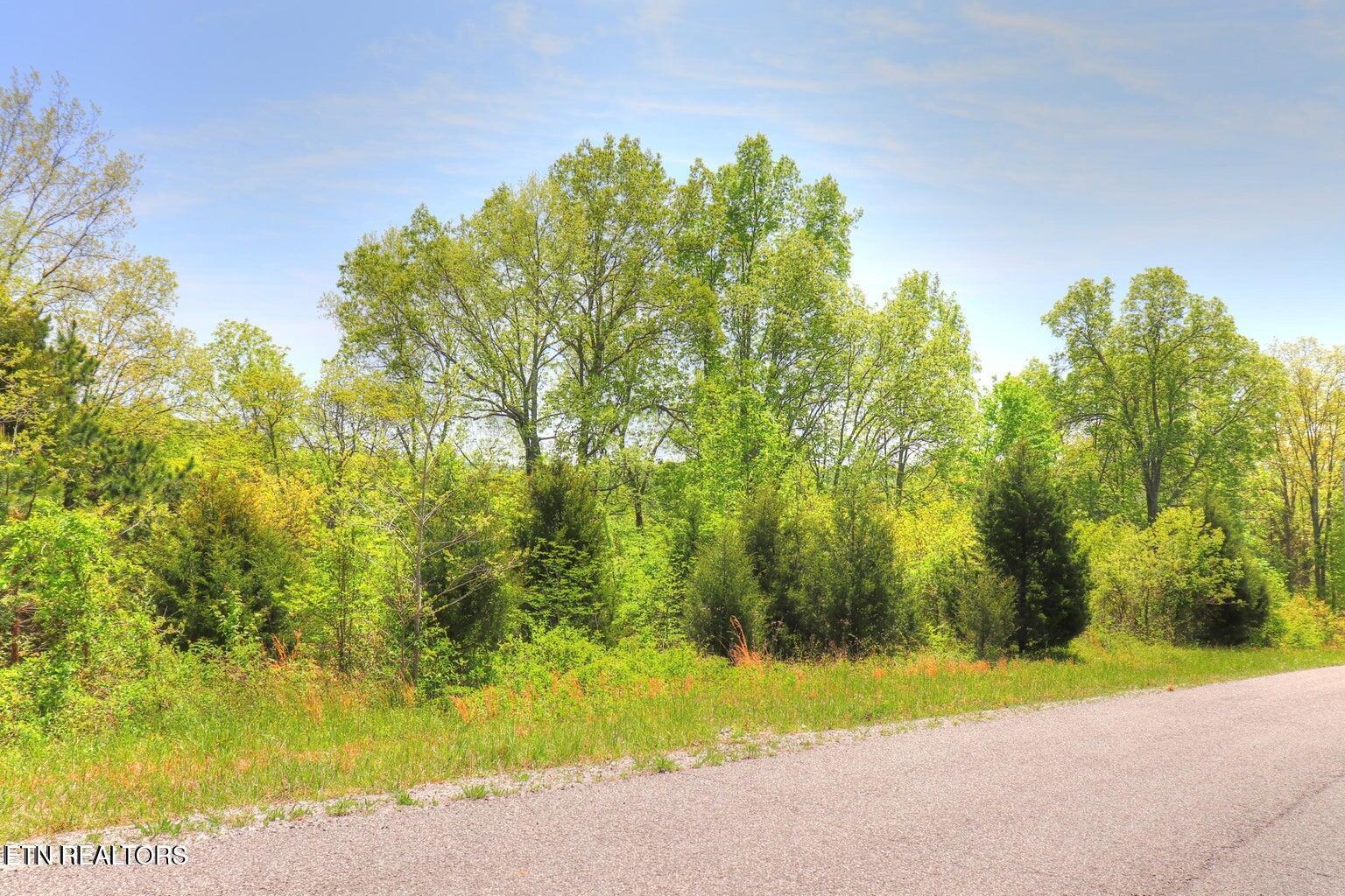 Lot 172 Saddleridge Drive, Speedwell, TN - Norris Lake Real Estate - Image# 1