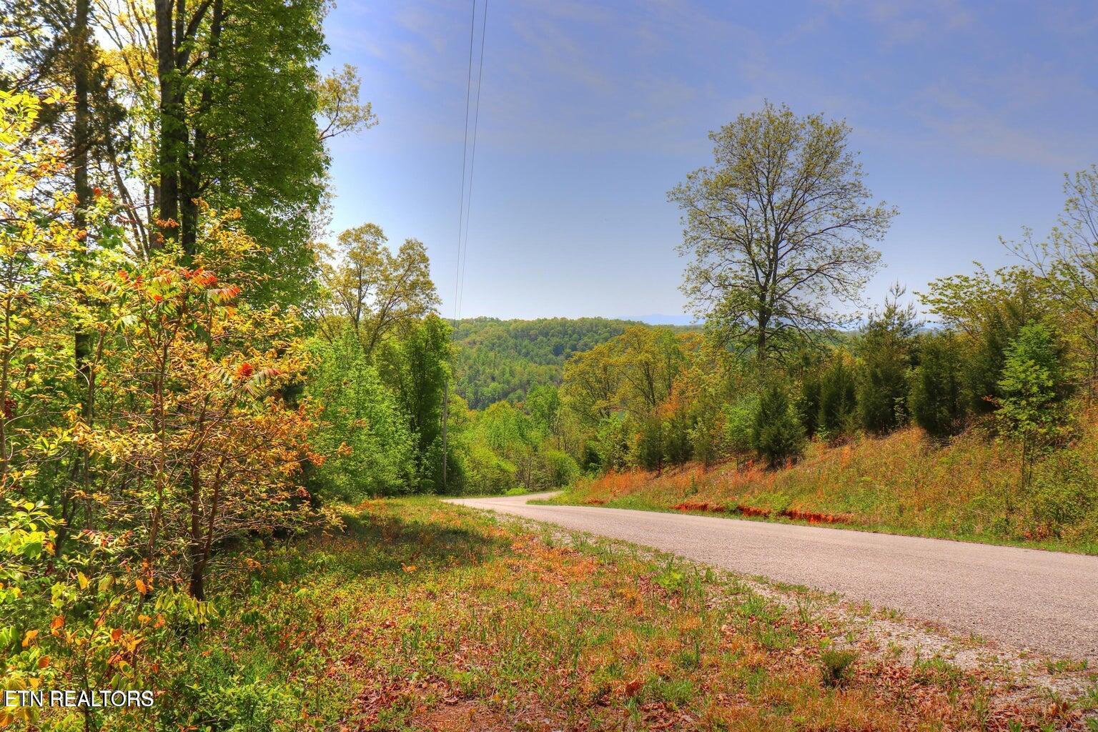 Lot 173 Saddleridge Drive, Speedwell, TN - Norris Lake Real Estate - Image# 1