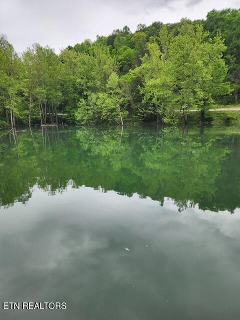 176 Flat Hollow Marina Rd, Speedwell, TN - Norris Lake Real Estate - Image# 5