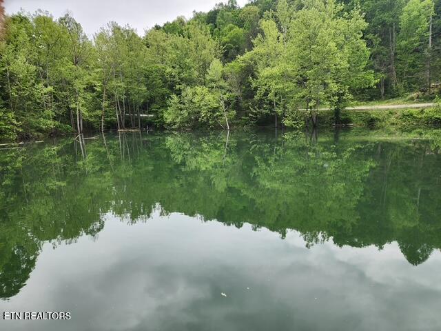176 Flat Hollow Marina Rd, Speedwell, TN - Norris Lake Real Estate - Image# 6
