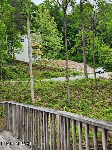 176 Flat Hollow Marina Rd, Speedwell, TN - Norris Lake Real Estate - Image# 10