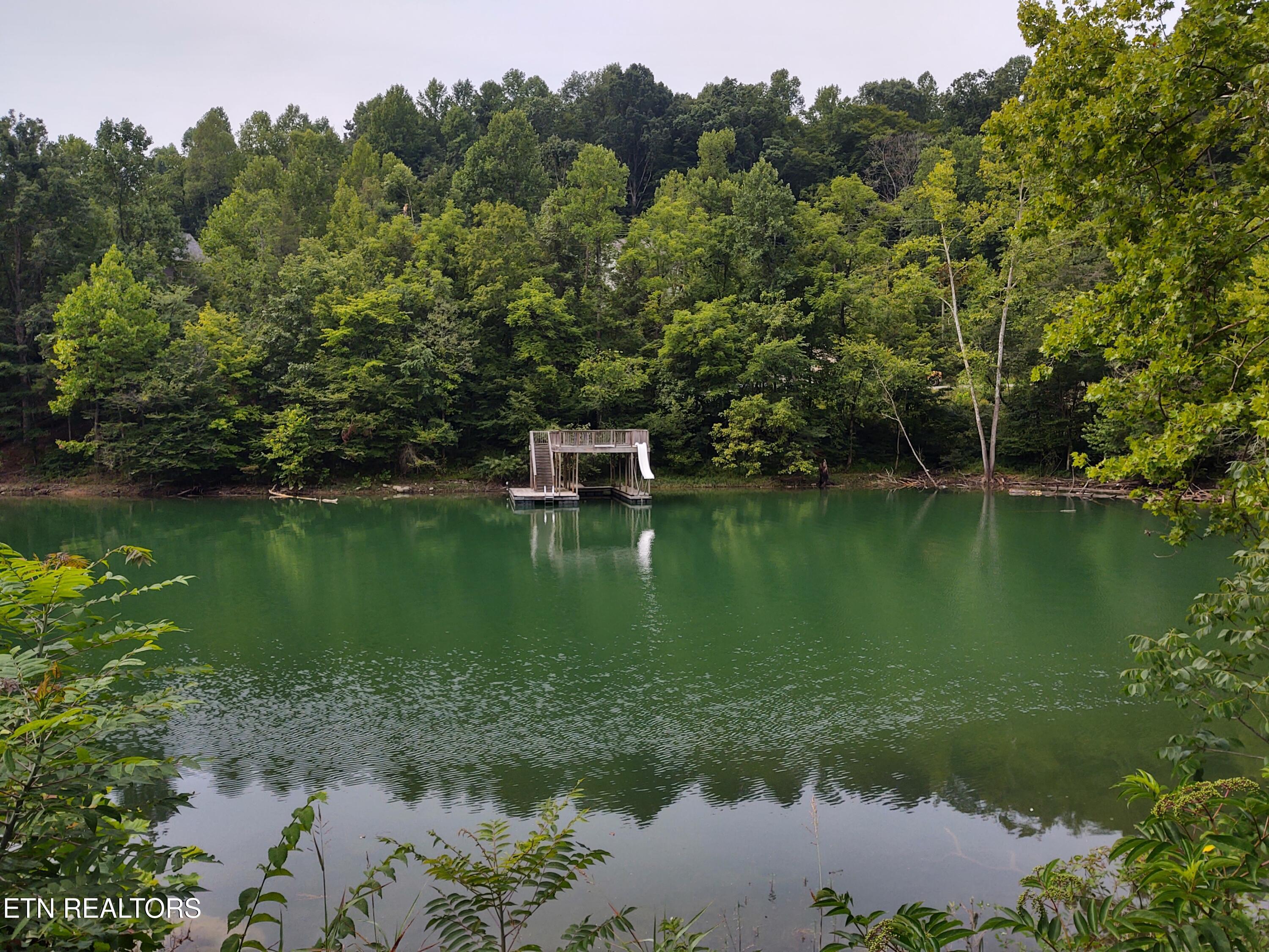 176 Flat Hollow Marina Rd, Speedwell, TN - Norris Lake Real Estate - Image# 4