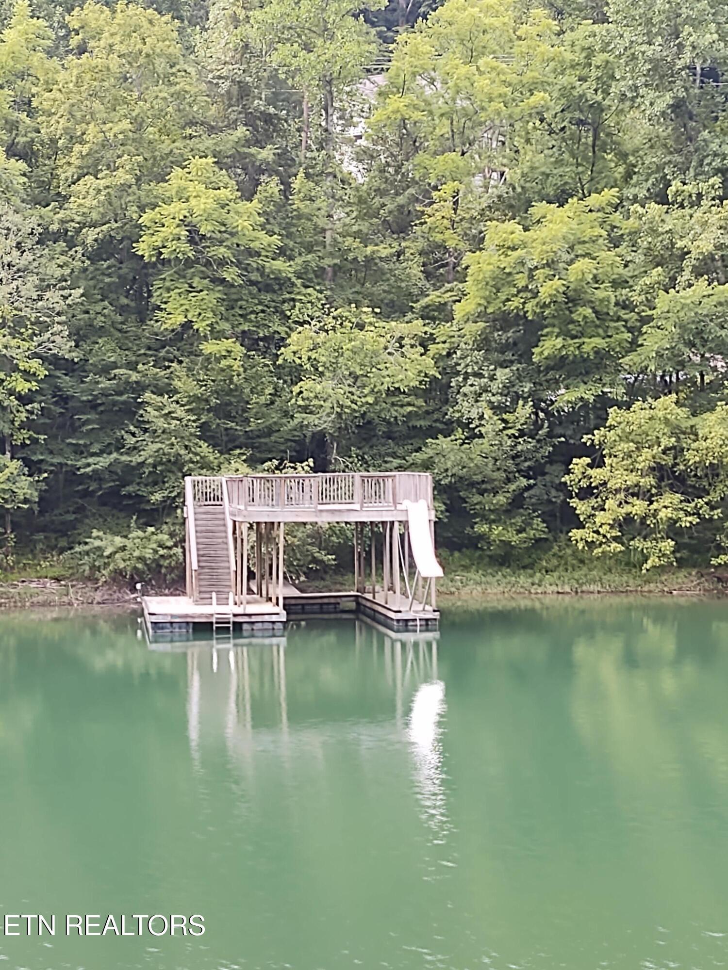 176 Flat Hollow Marina Rd, Speedwell, TN - Norris Lake Real Estate - Image# 9