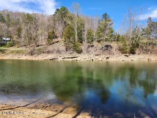 176 Flat Hollow Marina Rd, Speedwell, TN - Norris Lake Real Estate - Image# 12