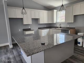 176 Flat Hollow Marina Rd, Speedwell, TN - Norris Lake Real Estate - Image# 14