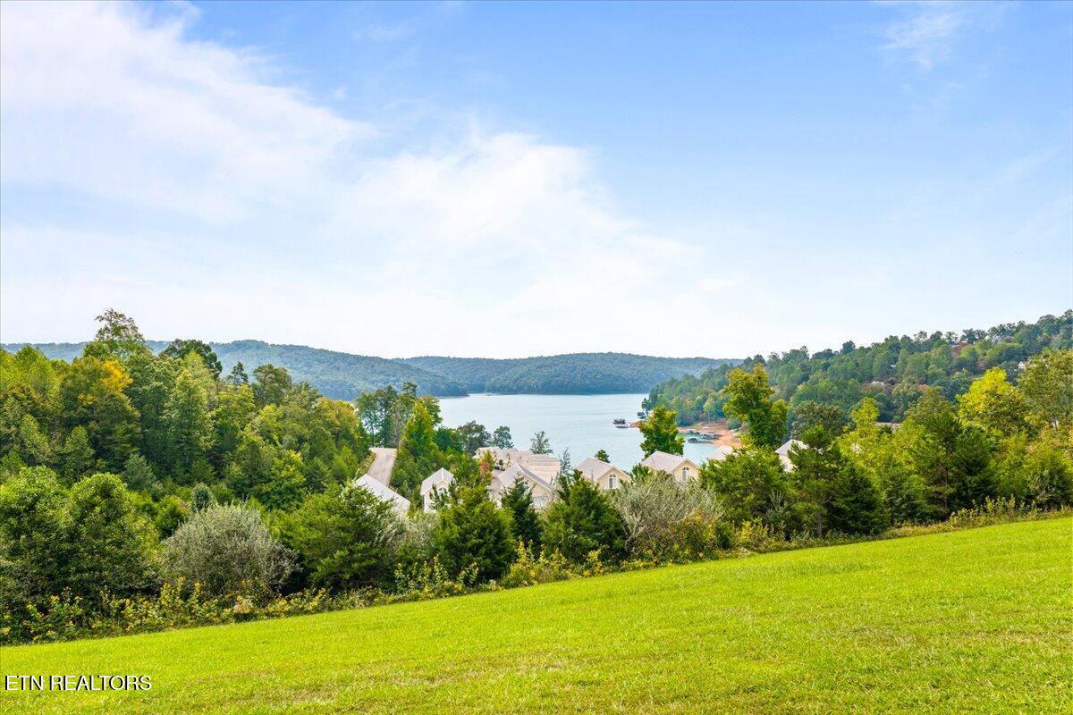 118 E Harbor View Lane, Lafollette, TN - Norris Lake Real Estate - Image# 20
