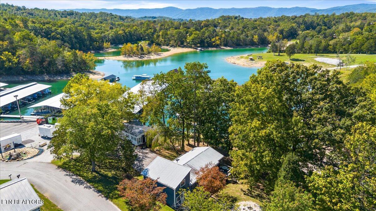 728 Indian River Boat Dock Rd, Jacksboro, TN - Norris Lake Real Estate - Image# 2
