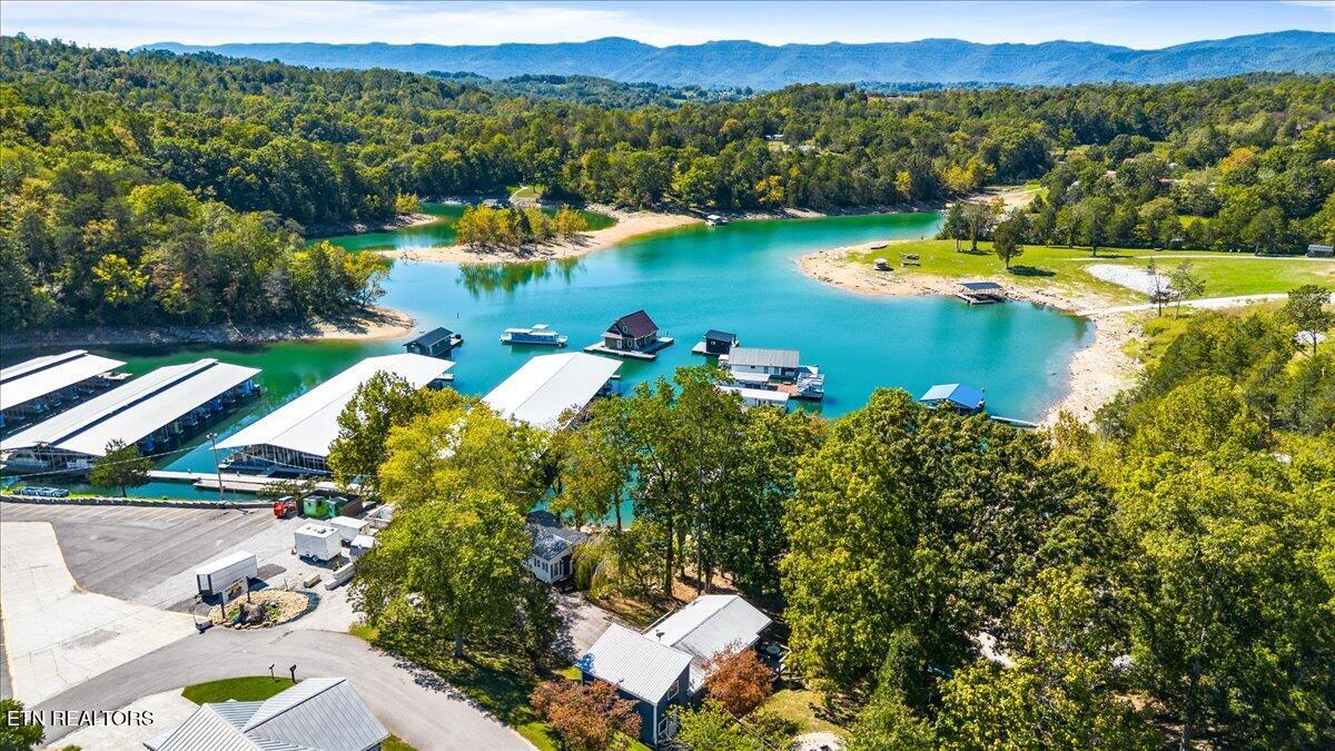 728 Indian River Boat Dock Rd, Jacksboro, TN - Norris Lake Real Estate - Image# 24